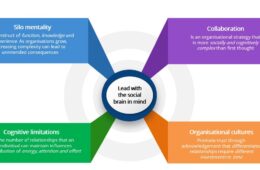 Leading-with-the-scoial-brain-in-mind-framework